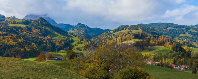 Как вернуть вдохновение - 5. Елена Усатенко. Фрайбург | StadtPoint.de